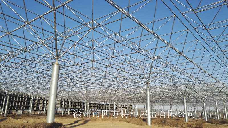 萬(wàn)果生態(tài)植物觀光園網(wǎng)架工程